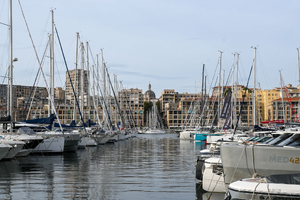 Désinsectisation dératisation Marseille